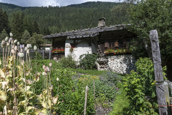 Val d'Ultimo/Ulten valley, South Tyrol, Italy. Typical old farmhouse

 