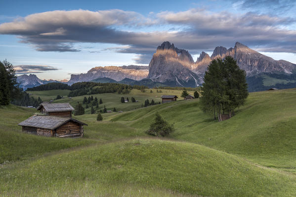 Alpe di Siusi/Seiser Alm, Dolomites, South Tyrol, Italy. The last rays of sun at the Alpe di Siusi/Seiser Alm. In the background the peaks of Sella, Sassolungo/Langkofel and Sassopiatto/Plattkofel