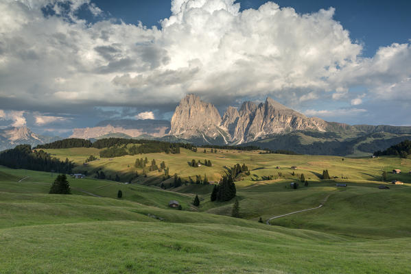 Alpe di Siusi/Seiser Alm, Dolomites, South Tyrol, Italy. Sunset on the Alpe di Siusi/Seiser Alm with the peaks of Sassolungo and Sassopiatto