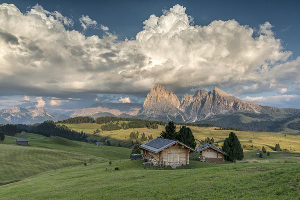 Alpe di Siusi/Seiser Alm, Dolomites, South Tyrol, Italy. Sunset on the Alpe di Siusi/Seiser Alm with the peaks of Sassolungo and Sassopiatto