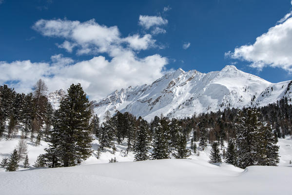 Fanes, Dolomites, South Tyrol, Italy. The Col Becchei 