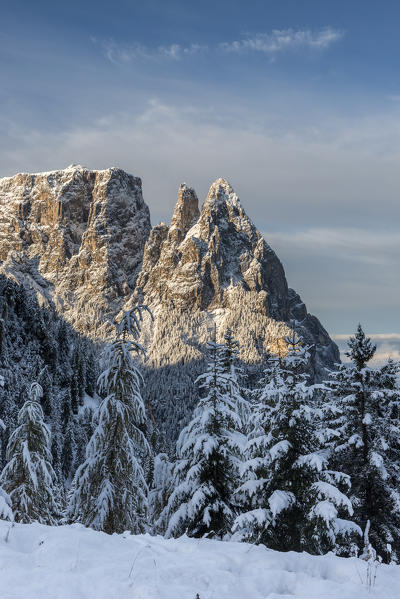 Alpe di Siusi/Seiser Alm, Dolomites, South Tyrol, Italy. Winter landscape on the Alpe di Siusi/Seiser Alm with the Peaks of Euringer and Santner