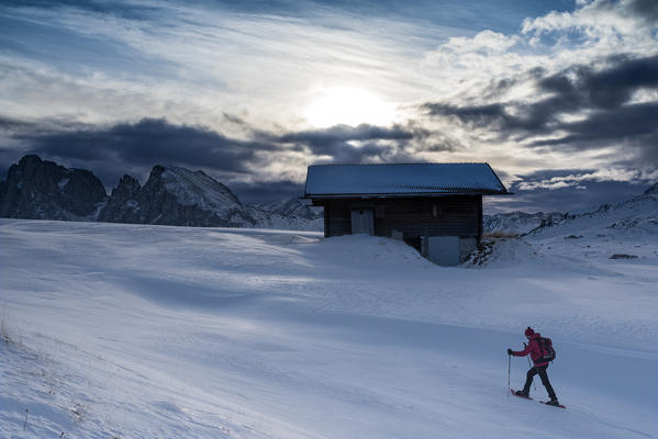 Alpe di Siusi/Seiser Alm, Dolomites, South Tyrol, Italy. Snowshoe hiker on plateau Bullaccia/Puflatsch. In the background the peaks of Sassolungo/Langkofel and Sassopiatto/Plattkofel