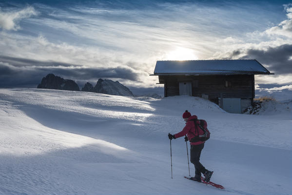 Alpe di Siusi/Seiser Alm, Dolomites, South Tyrol, Italy. Snowshoe hiker on plateau Bullaccia/Puflatsch. In the background the peaks of Sassolungo/Langkofel and Sassopiatto/Plattkofel