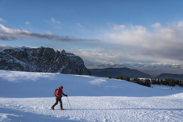 Alpe di Siusi/Seiser Alm, Dolomites, South Tyrol, Italy. Snowshoe hiker on plateau Bullaccia/Puflatsch. In the background the peaks of Sciliar/Schlern