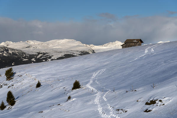 Alpe di Siusi/Seiser Alm, Dolomites, South Tyrol, Italy. On plateau Bullaccia/Puflatsch