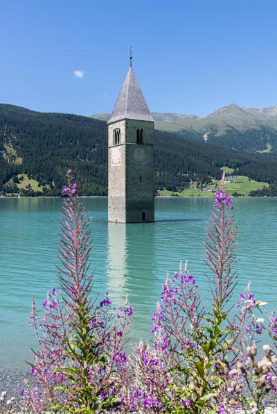 Curon/Graun, Venosta Valley, South Tyrol, Italy. The bell tower in Reschensee