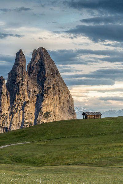 Alpe di Siusi/Seiser Alm, Dolomites, South Tyrol, Italy. Sunrise on the Alpe di Siusi/Seiser Alm. In the background the peaks of Euringer and Santner