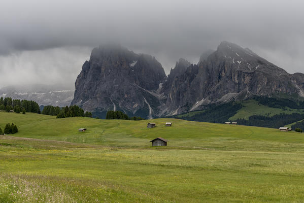 Alpe di Siusi/Seiser Alm, Dolomites, South Tyrol, Italy. View from the Alpe di Siusi to the peaks of Sella, Sassolungo/Langkofel and Sassopiatto/Plattkofel