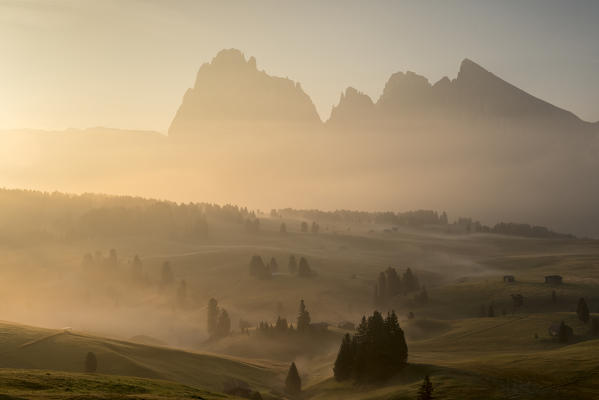 Alpe di Siusi/Seiser Alm, Dolomites, South Tyrol, Italy. Autumnal morning light on the Alpe di Siusi/Seiser Alm