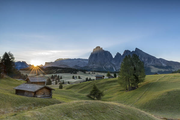 Alpe di Siusi/Seiser Alm, Dolomites, South Tyrol, Italy. Sunrise on the pastures of Alpe di Siusi/Seiser Alm. In the Background the peaks Sella, Sassolungo/Langkofel and Sassopiatto/Plattkofel