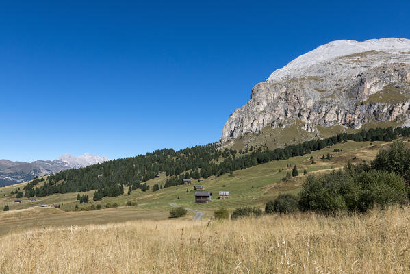 Alpe di Siusi/Seiser Alm, Dolomites, South Tyrol, Italy. View from the Alpe di Siusi to the peak of Sassopiatto/Plattkofel 