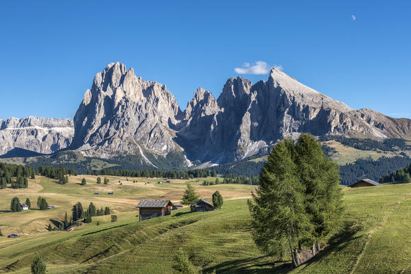 Alpe di Siusi/Seiser Alm, Dolomites, South Tyrol, Italy. View from the Alpe di Siusi to the peaks of Sassolungo/Langkofel and Sassopiatto/Plattkofel