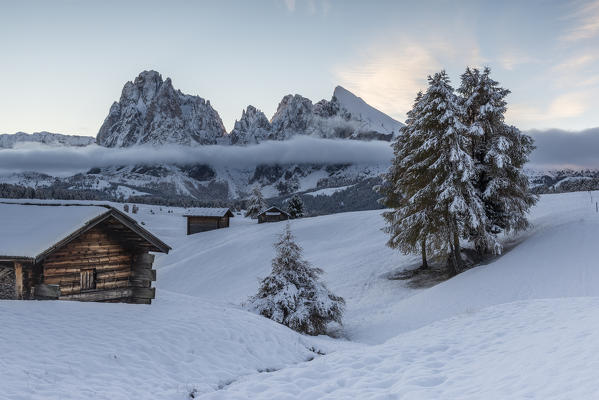 Alpe di Siusi/Seiser Alm, Dolomites, South Tyrol, Italy. The first autumn snow on the Alpe di Siusi/Seiser Alm