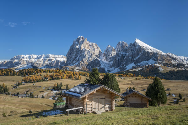 Alpe di Siusi/Seiser Alm, Dolomites, South Tyrol, Italy. Autumn colors on the Alpe di Siusi/Seiser Alm with the Sella, Sassolungo/Langkofel and the Sassopiatto/Plattkofel in the background