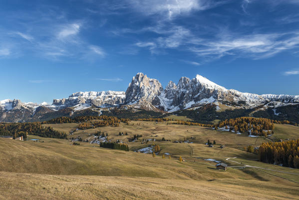 Alpe di Siusi/Seiser Alm, Dolomites, South Tyrol, Italy. Autumn colors on the Alpe di Siusi/Seiser Alm with the Sella, Sassolungo/Langkofel and the Sassopiatto/Plattkofel in the background