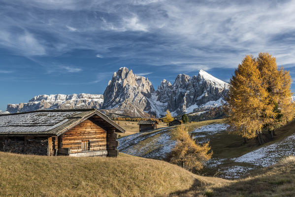 Alpe di Siusi/Seiser Alm, Dolomites, South Tyrol, Italy. Autumn colors on the Alpe di Siusi/Seiser Alm with the Sella, Sassolungo/Langkofel and the Sassopiatto/Plattkofel in the background