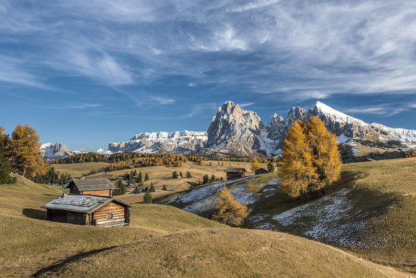 Alpe di Siusi/Seiser Alm, Dolomites, South Tyrol, Italy. Autumn colors on the Alpe di Siusi/Seiser Alm with the Sella, Sassolungo/Langkofel and the Sassopiatto/Plattkofel in the background