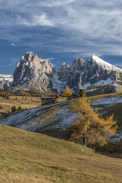 Alpe di Siusi/Seiser Alm, Dolomites, South Tyrol, Italy. Autumn colors on the Alpe di Siusi/Seiser Alm with the Sassolungo/Langkofel and the Sassopiatto/Plattkofel in background