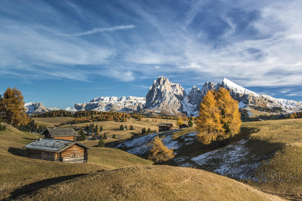 Alpe di Siusi/Seiser Alm, Dolomites, South Tyrol, Italy. Autumn colors on the Alpe di Siusi/Seiser Alm with the Sella, Sassolungo/Langkofel and the Sassopiatto/Plattkofel in the background