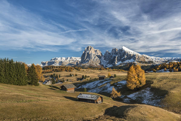 Alpe di Siusi/Seiser Alm, Dolomites, South Tyrol, Italy. Autumn colors on the Alpe di Siusi/Seiser Alm with the Sella, Sassolungo/Langkofel and the Sassopiatto/Plattkofel in the background