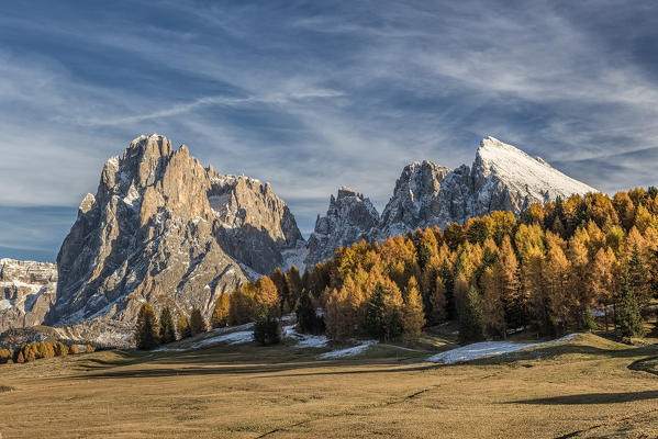 Alpe di Siusi/Seiser Alm, Dolomites, South Tyrol, Italy. Autumn colors on the Alpe di Siusi/Seiser Alm with the Sassolungo/Langkofel and the Sassopiatto/Plattkofel in background