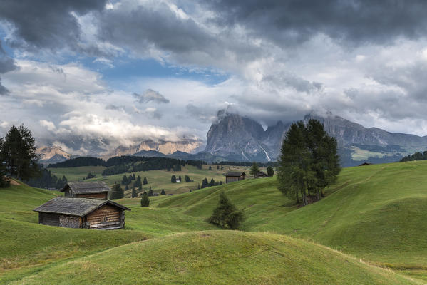 Alpe di Siusi/Seiser Alm, Dolomites, South Tyrol, Italy. View from the Alpe di Siusi to the peaks of Sassolungo/Langkofel and Sassopiatto / Plattkofel