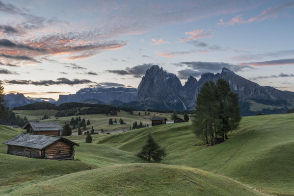 Alpe di Siusi/Seiser Alm, Dolomites, South Tyrol, Italy. Sunrise on the Alpe di Siusi. In the Background the peaks of Sassolungo/Langkofel and Sassopiatto / Plattkofel