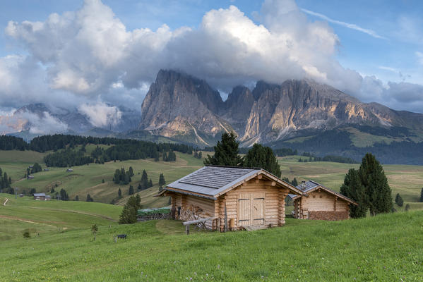 Alpe di Siusi/Seiser Alm, Dolomites, South Tyrol, Italy. View from the Alpe di Siusi to the peaks of Sassolungo/Langkofel and Sassopiatto / Plattkofel