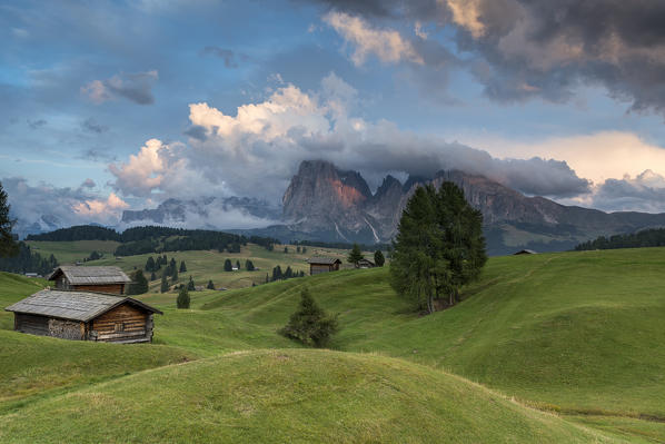 Alpe di Siusi/Seiser Alm, Dolomites, South Tyrol, Italy. View from the Alpe di Siusi to the peaks of Sassolungo/Langkofel and Sassopiatto / Plattkofel