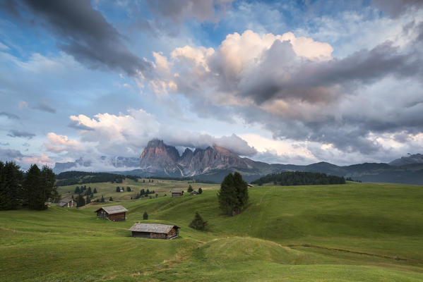 Alpe di Siusi/Seiser Alm, Dolomites, South Tyrol, Italy. View from the Alpe di Siusi to the peaks of Sassolungo/Langkofel and Sassopiatto / Plattkofel