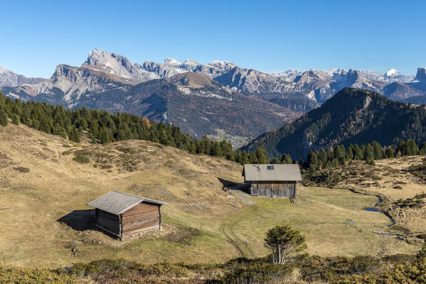 Alpe di Siusi/Seiser Alm, Dolomites, South Tyrol, Italy.