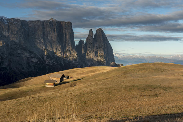 Alpe di Siusi/Seiser Alm, Dolomites, South Tyrol, Italy. Autumn on the Alpe di Siusi/Seiser Alm. In the background the peaks of Sciliar/Schlern, Euringer and Santner