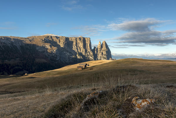 Alpe di Siusi/Seiser Alm, Dolomites, South Tyrol, Italy. Autumn on the Alpe di Siusi/Seiser Alm. In the background the peaks of Sciliar/Schlern, Euringer and Santner