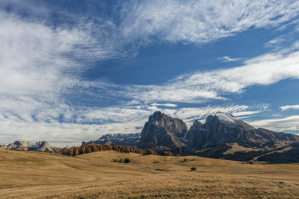 Alpe di Siusi/Seiser Alm, Dolomites, South Tyrol, Italy. Autumn on the Alpe di Siusi/Seiser Alm with the peaks of Sella, Sassolungo/Langkofel and Sassopiatto/Plattkofel