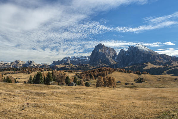 Alpe di Siusi/Seiser Alm, Dolomites, South Tyrol, Italy. Autumn on the Alpe di Siusi/Seiser Alm with the peaks of Sella, Sassolungo/Langkofel and Sassopiatto/Plattkofel