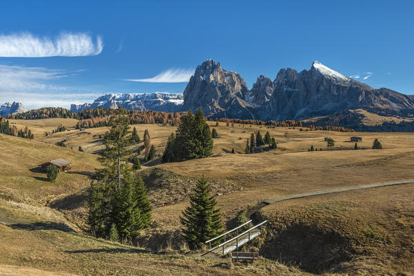 alpe di siusi;alps;alto adige;autumn;barn;barns;dolomiten;dolomites;dolomiti;italy;landscape;landscapes;langkofel;meadow;meadows;mountain;mountain hut;mountains;mountainscape;mountainscapes;natural parc;natural park;pasture;pastures;peak;peaks;plattkofel;rock;rocks;sassolungo;sassopiatto;sciliar catinaccio;sciliar-catinaccio;seiser alm;sella;south tyrol;sudtirol;tree;trees;trentino alto adige;unesco world heritage, bridge