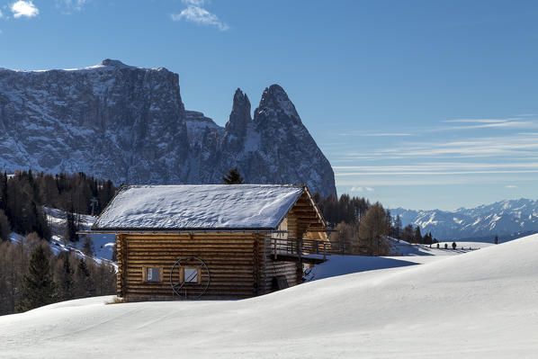 Alpe di Siusi/Seiser Alm, Dolomites, South Tyrol, Italy. Winter landscape on the Alpe di Siusi/Seiser Alm with the peaks of Sciliar / Schlern, Euringer and Santner