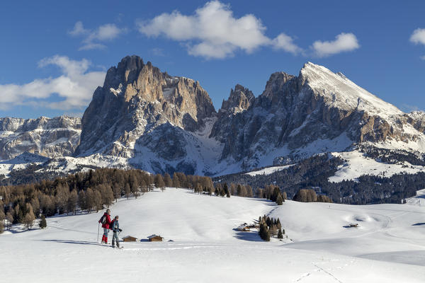 Alpe di Siusi/Seiser Alm, Dolomites, South Tyrol, Italy.