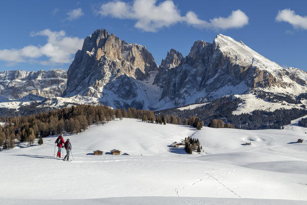 Alpe di Siusi/Seiser Alm, Dolomites, South Tyrol, Italy.