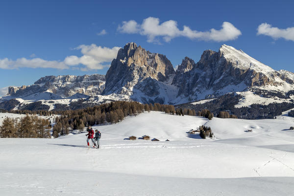 Alpe di Siusi/Seiser Alm, Dolomites, South Tyrol, Italy.