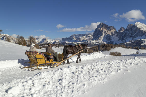 Alpe di Siusi/Seiser Alm, Dolomites, South Tyrol, Italy.