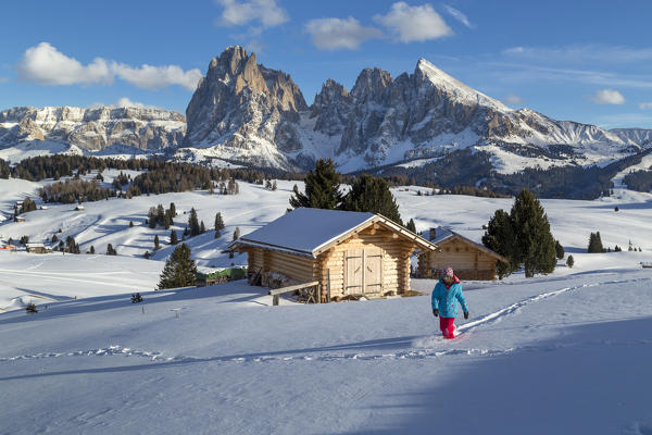 Alpe di Siusi/Seiser Alm, Dolomites, South Tyrol, Italy. Winter landscape on the Alpe di Siusi/Seiser Alm with the peaks of Sassolungo / Langkofel and Sassopiatto / Plattkofel