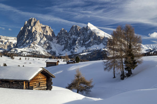 Alpe di Siusi/Seiser Alm, Dolomites, South Tyrol, Italy. Winter landscape on the Alpe di Siusi/Seiser Alm with the peaks of Sassolungo / Langkofel and Sassopiatto / Plattkofel