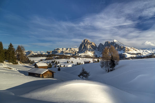 Alpe di Siusi/Seiser Alm, Dolomites, South Tyrol, Italy. Winter landscape on the Alpe di Siusi/Seiser Alm with the peaks of Sassolungo / Langkofel and Sassopiatto / Plattkofel