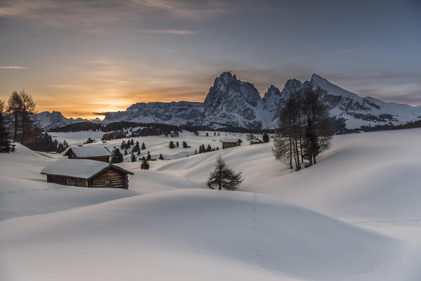 Alpe di Siusi/Seiser Alm, Dolomites, South Tyrol, Italy. Sunrise on the Alpe di Siusi / Seiser Alm with the peaks of Sassolungo / Langkofel and Sassopiatto / Plattkofel