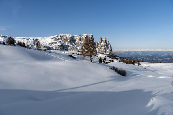 Alpe di Siusi/Seiser Alm, Dolomites, South Tyrol, Italy. Winter landscape on the Alpe di Siusi/Seiser Alm with the peaks of Sciliar / Schlern, Euringer and Santner