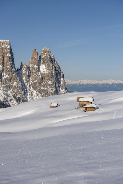 Alpe di Siusi/Seiser Alm, Dolomites, South Tyrol, Italy. Winter landscape on the Alpe di Siusi/Seiser Alm with the peaks of Euringer and Santner