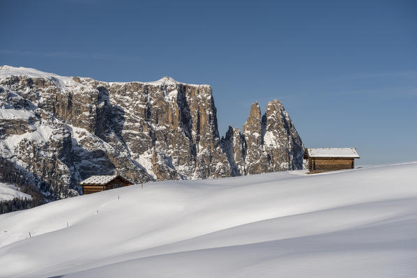 Alpe di Siusi/Seiser Alm, Dolomites, South Tyrol, Italy. Winter landscape on the Alpe di Siusi/Seiser Alm with the peaks of Sciliar / Schlern, Euringer and Santner