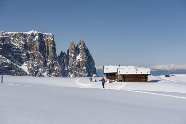 Alpe di Siusi/Seiser Alm, Dolomites, South Tyrol, Italy. Winter landscape on the Alpe di Siusi/Seiser Alm with the peaks of Sciliar / Schlern, Euringer and Santner